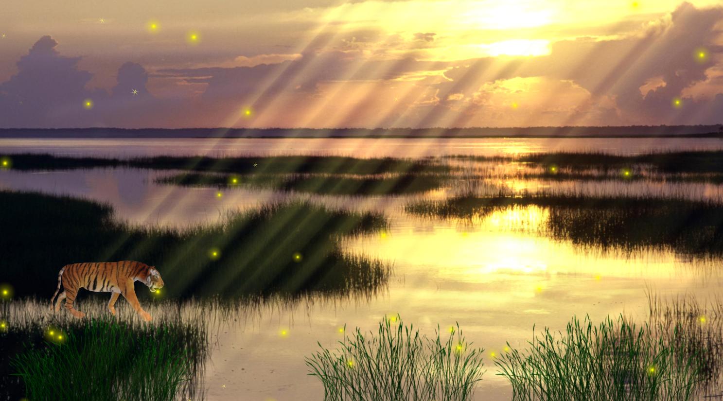 Moving Animal Wallpapers Group - Dawn Breaking - HD Wallpaper 