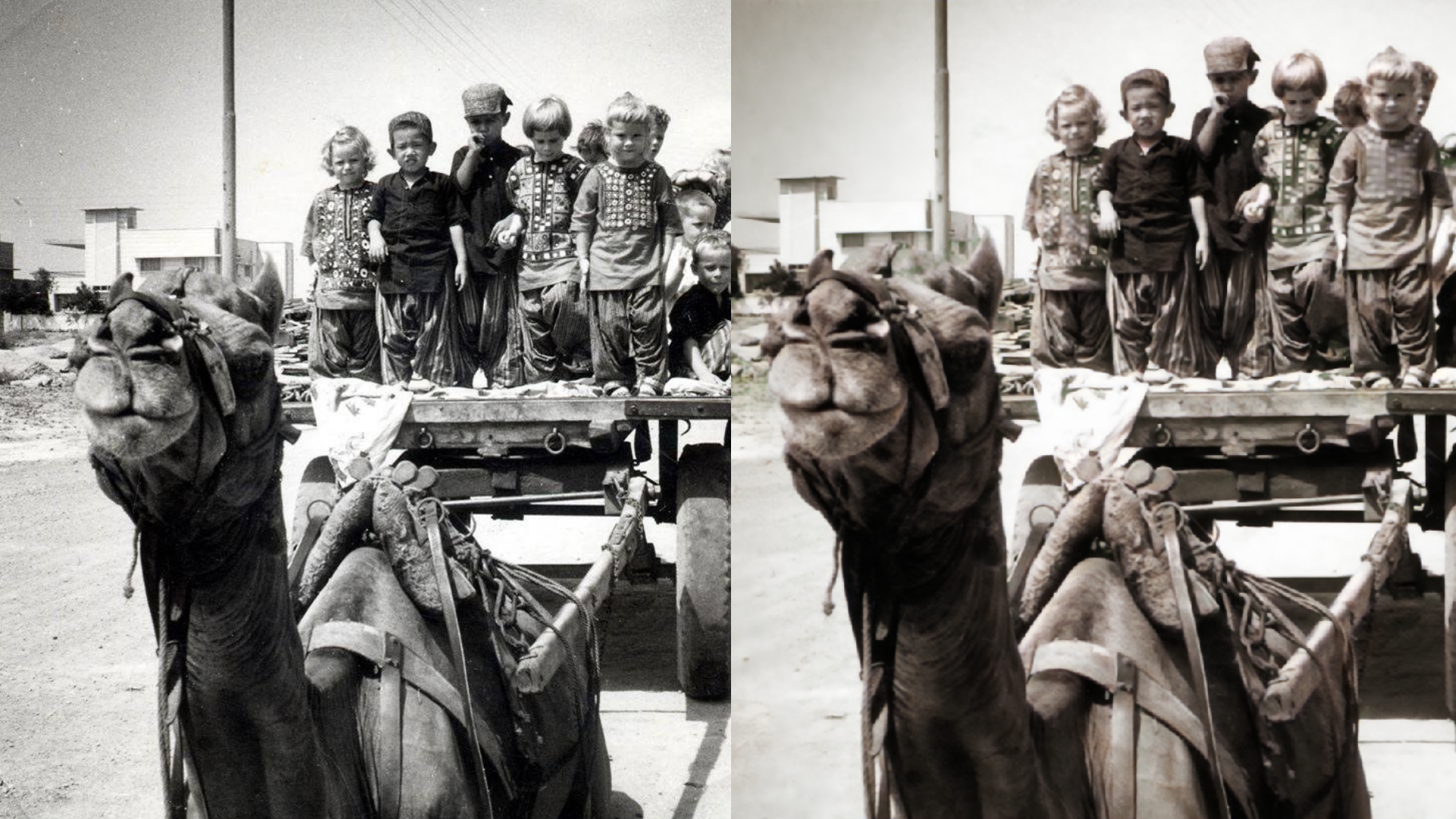 Monochrome - HD Wallpaper 