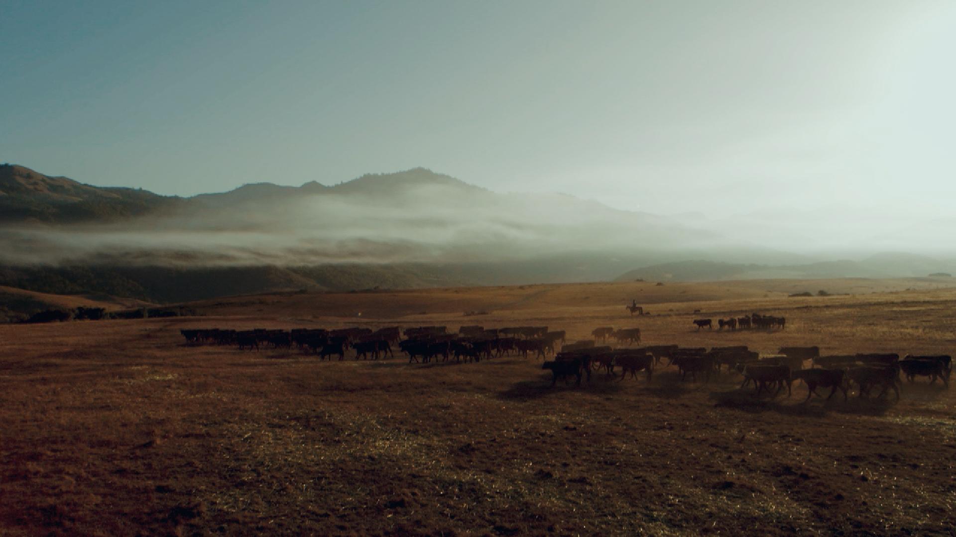 Steppe - HD Wallpaper 