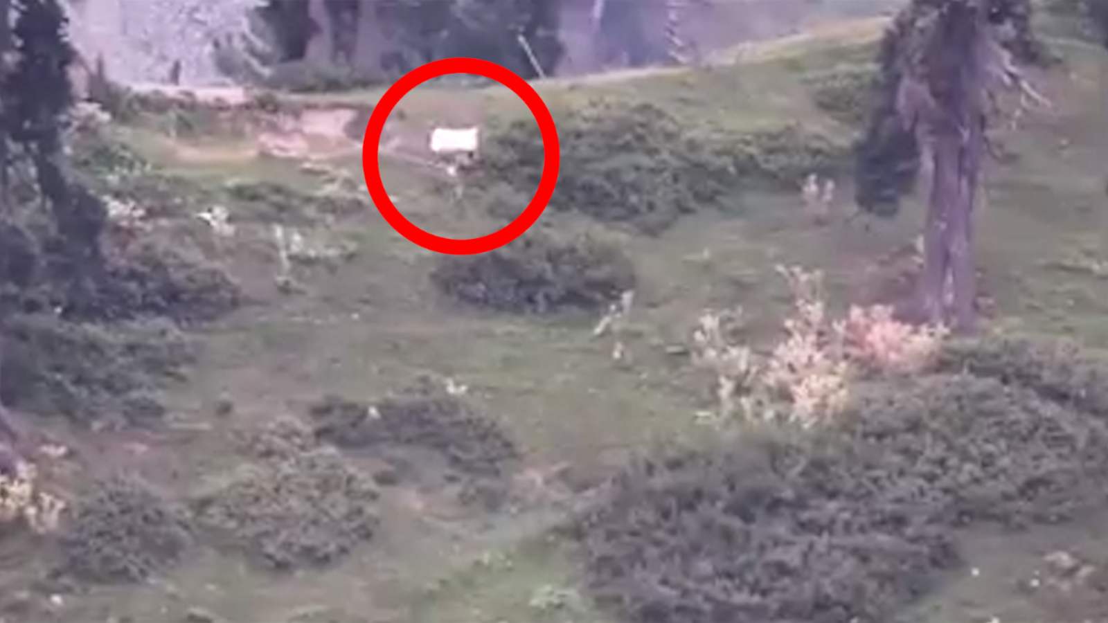 Pakistan Army Raises White Flag - HD Wallpaper 