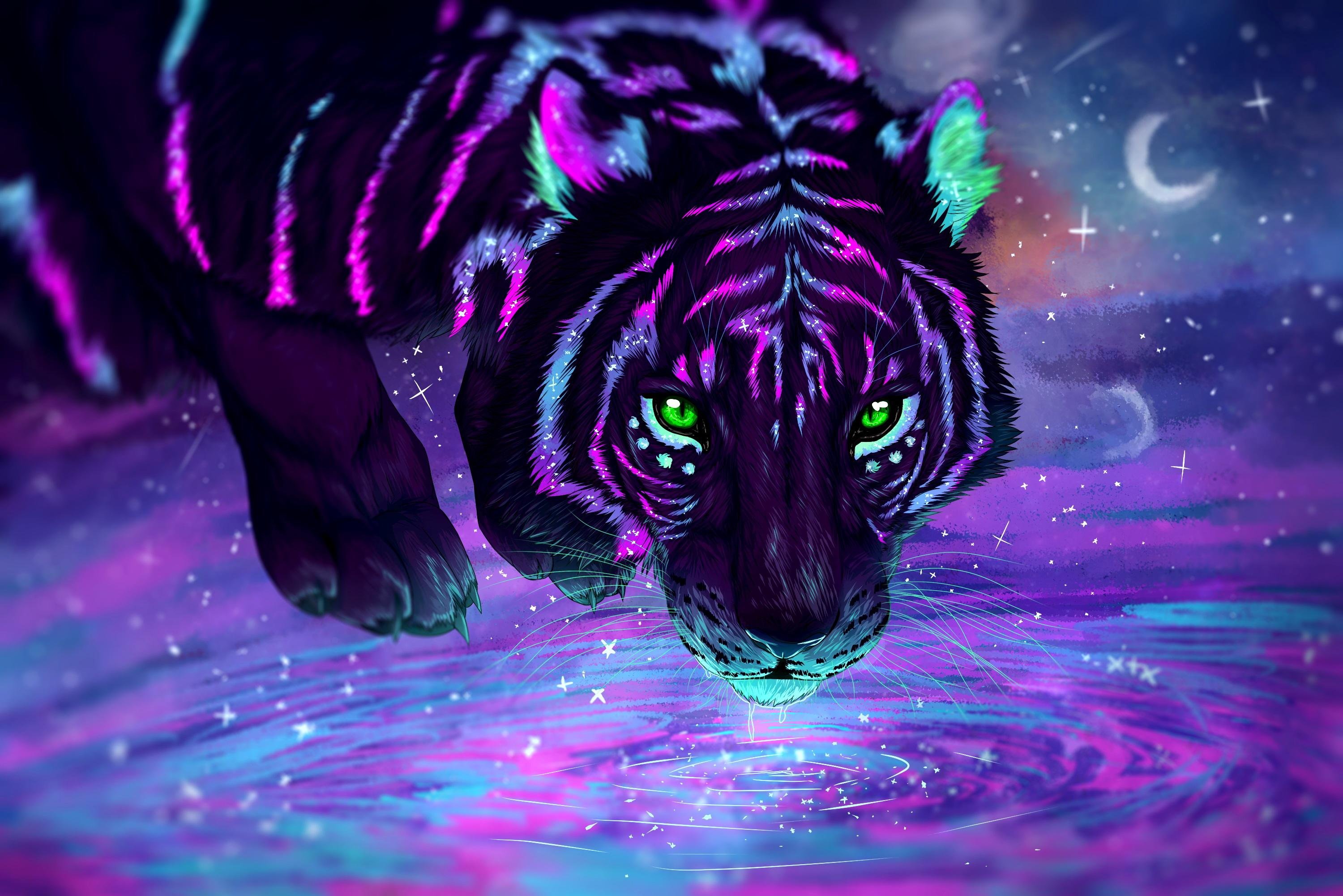 4k Tiger - HD Wallpaper 