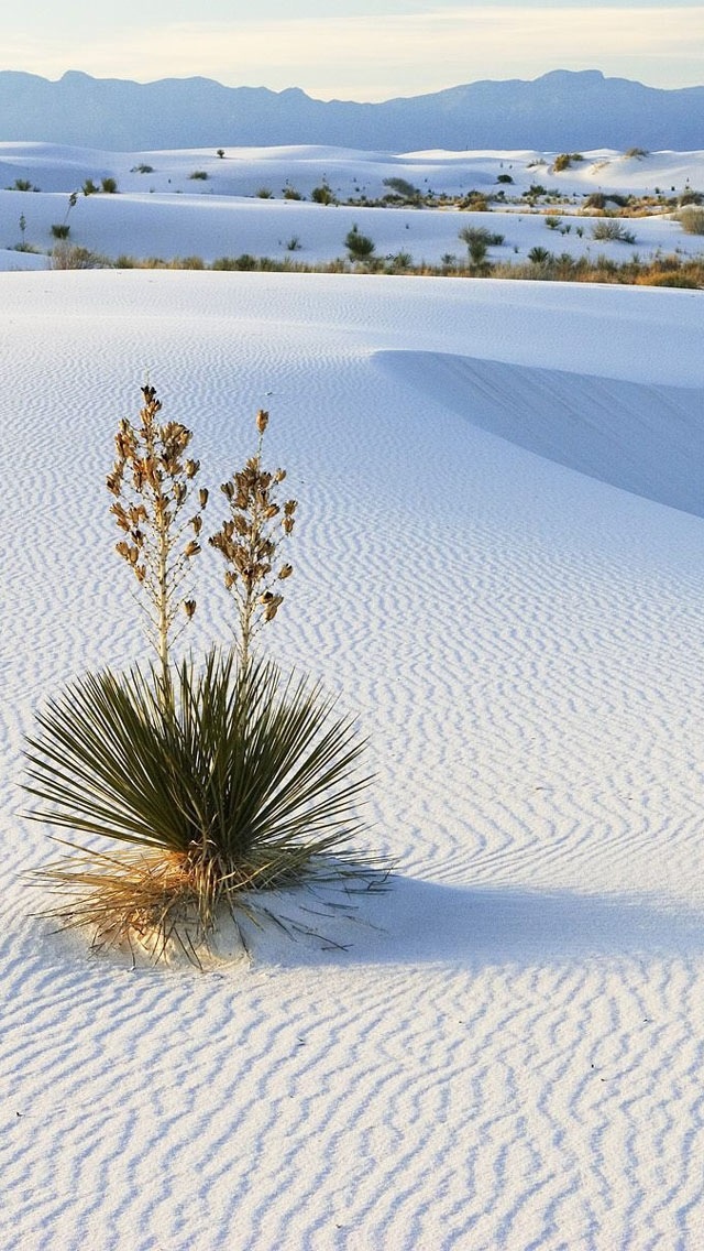 White Sands Desert Iphone Wallpaper Resolution - White Sands National Monument Wallpaper Iphone - HD Wallpaper 