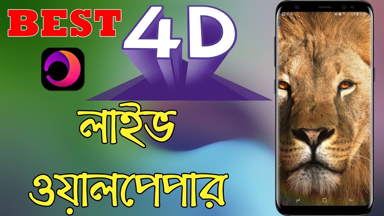 Masai Lion - HD Wallpaper 