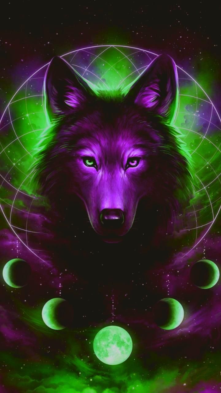 Wolf Wallpaper Moon - HD Wallpaper 