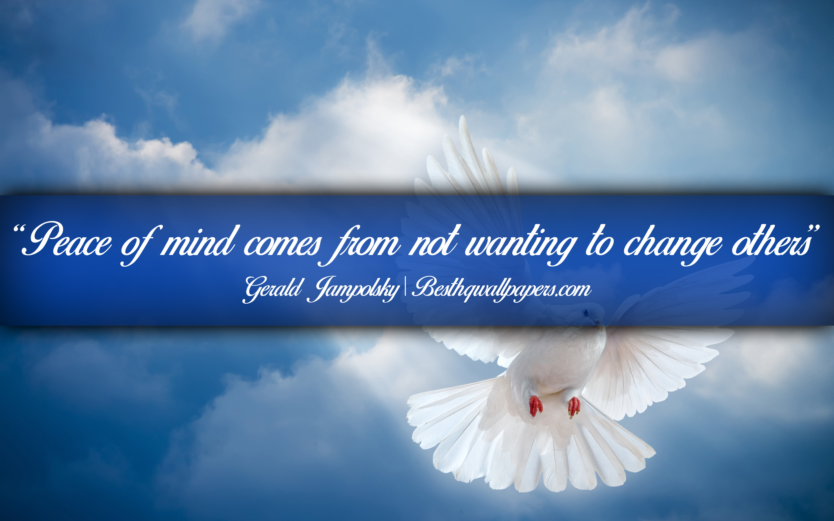 Peace Of Mind Comes From Not Wanting To Change Others, - Flight - 2880x1800  Wallpaper 