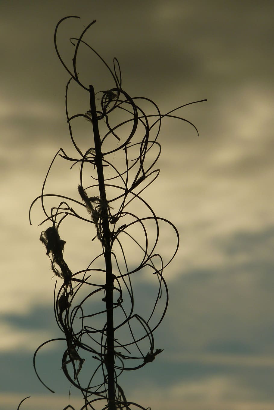 Peace Of Mind, Sky, Idylka, Silhouette, No People, - Wire - HD Wallpaper 