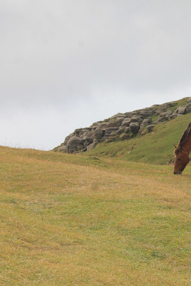 Quotes By Jonathon Lockwood Hule - HD Wallpaper 