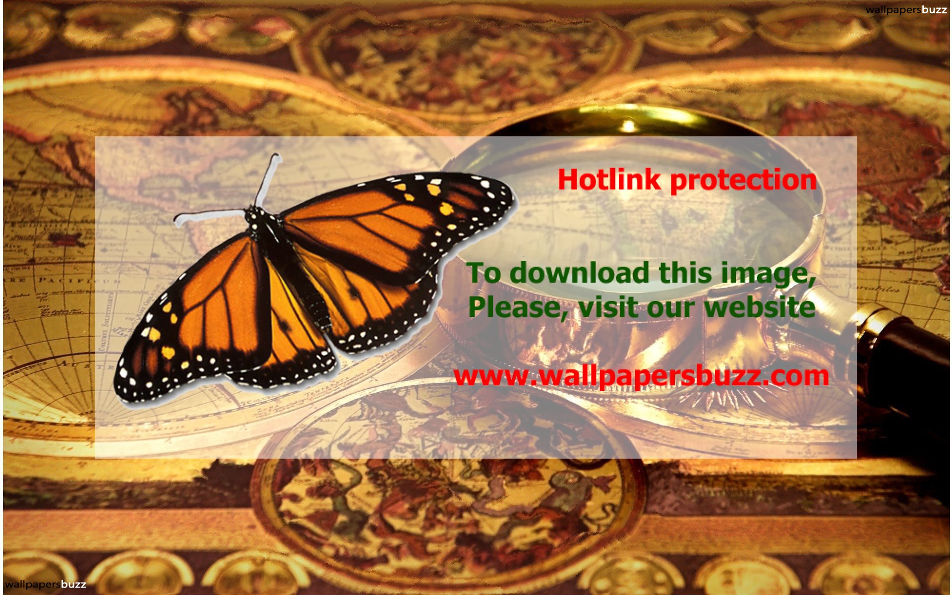 Magnifying Glass - 1920x1200 Wallpaper - teahub.io