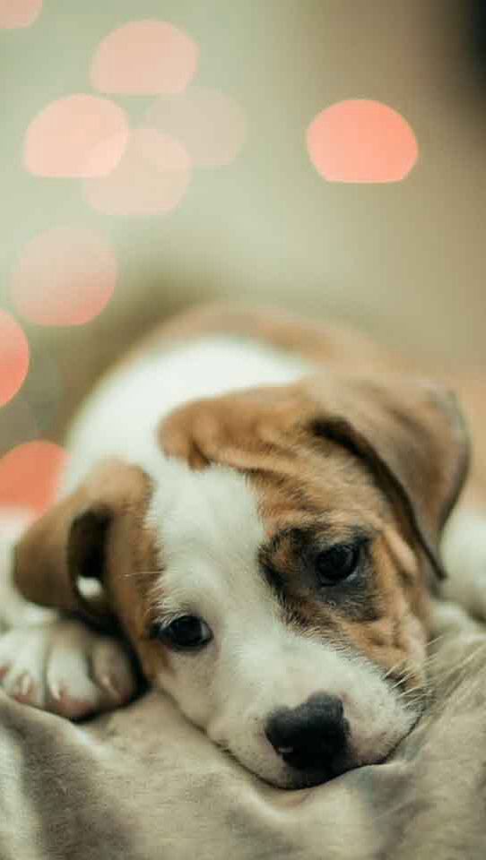 Backgrounds Sad For Iphone - HD Wallpaper 