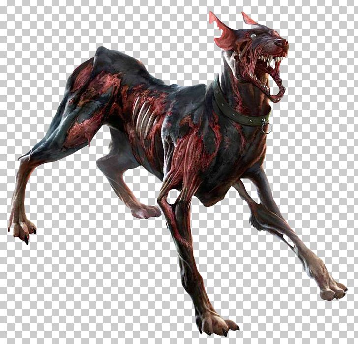 Italian Greyhound Zombie Png, Clipart, Animal, Carnivoran, - HD Wallpaper 