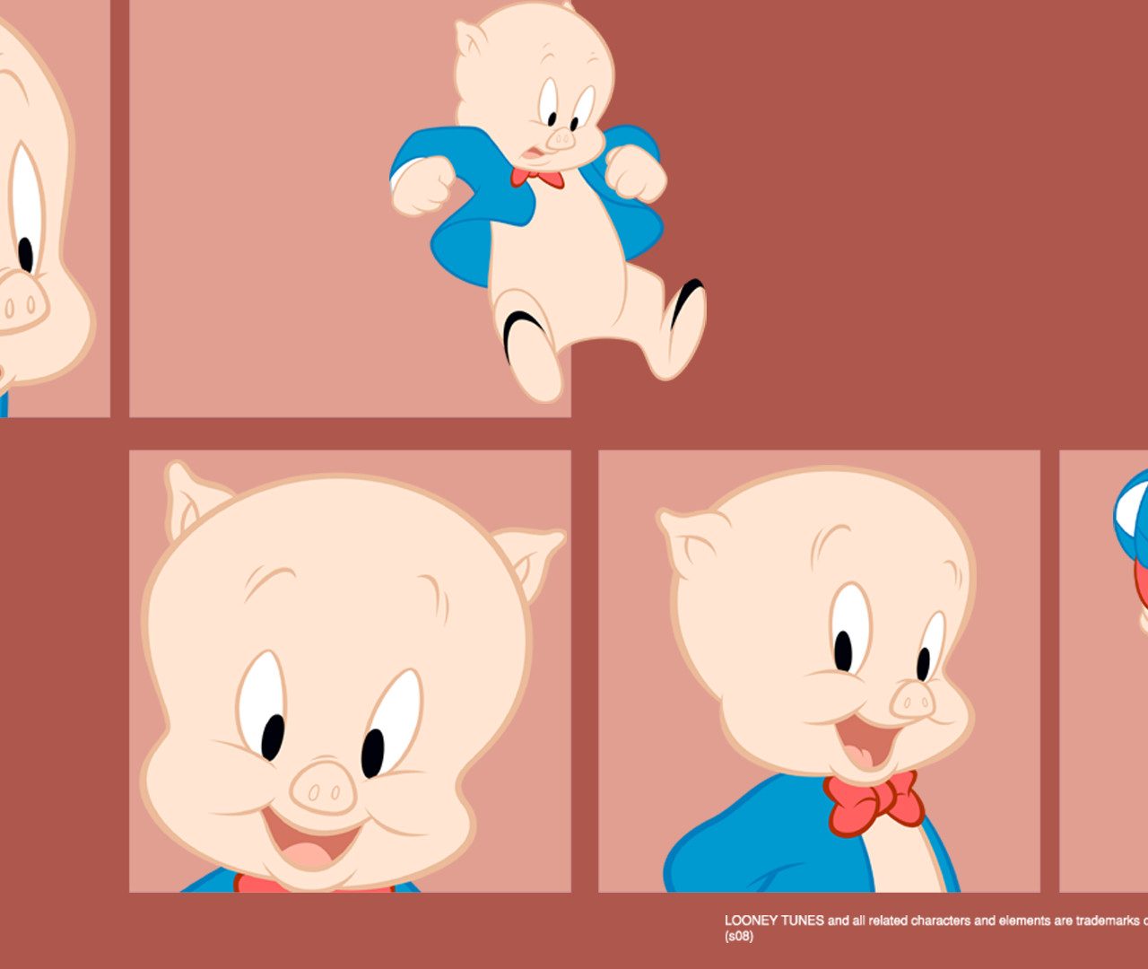 Porky Pig - HD Wallpaper 