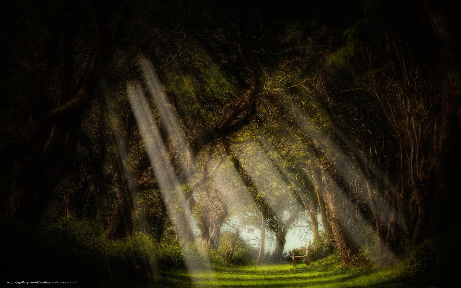 Beautiful Sunrays - HD Wallpaper 