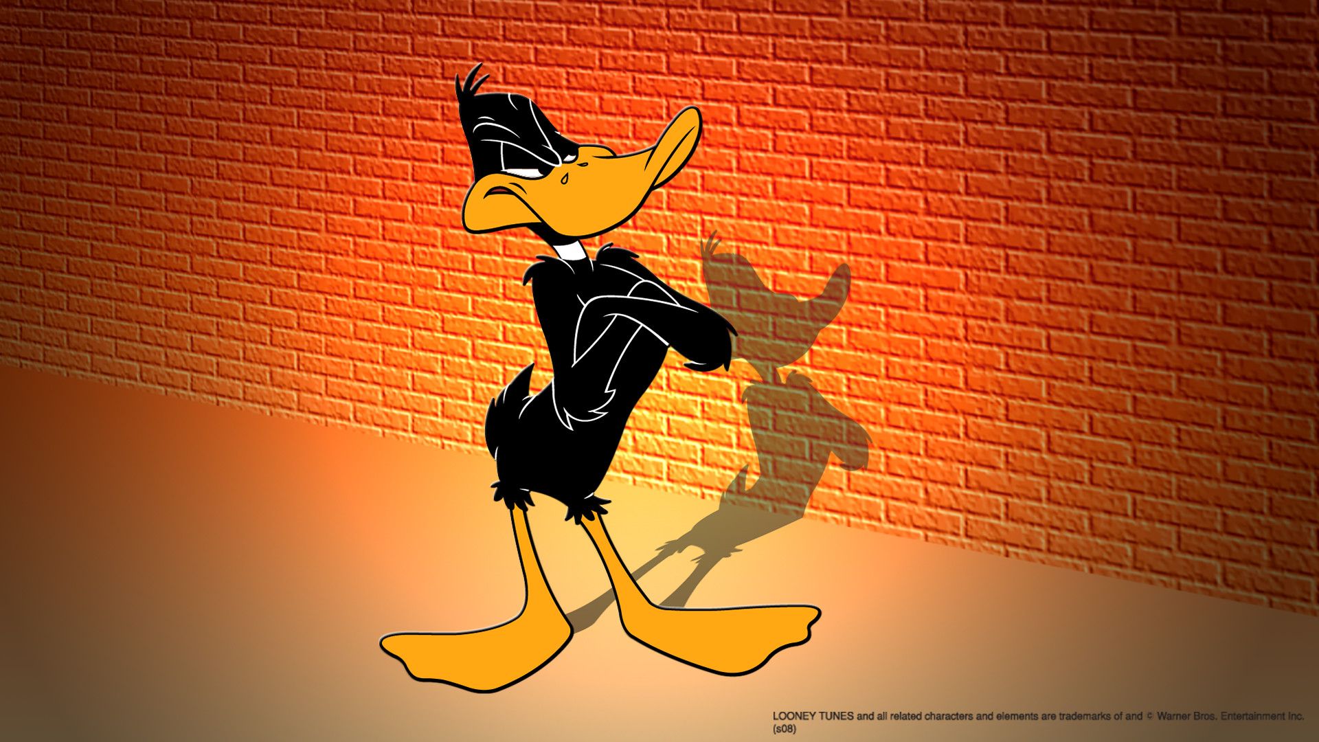 Daffy Duck 1920x1080 Wallpaper teahub.io