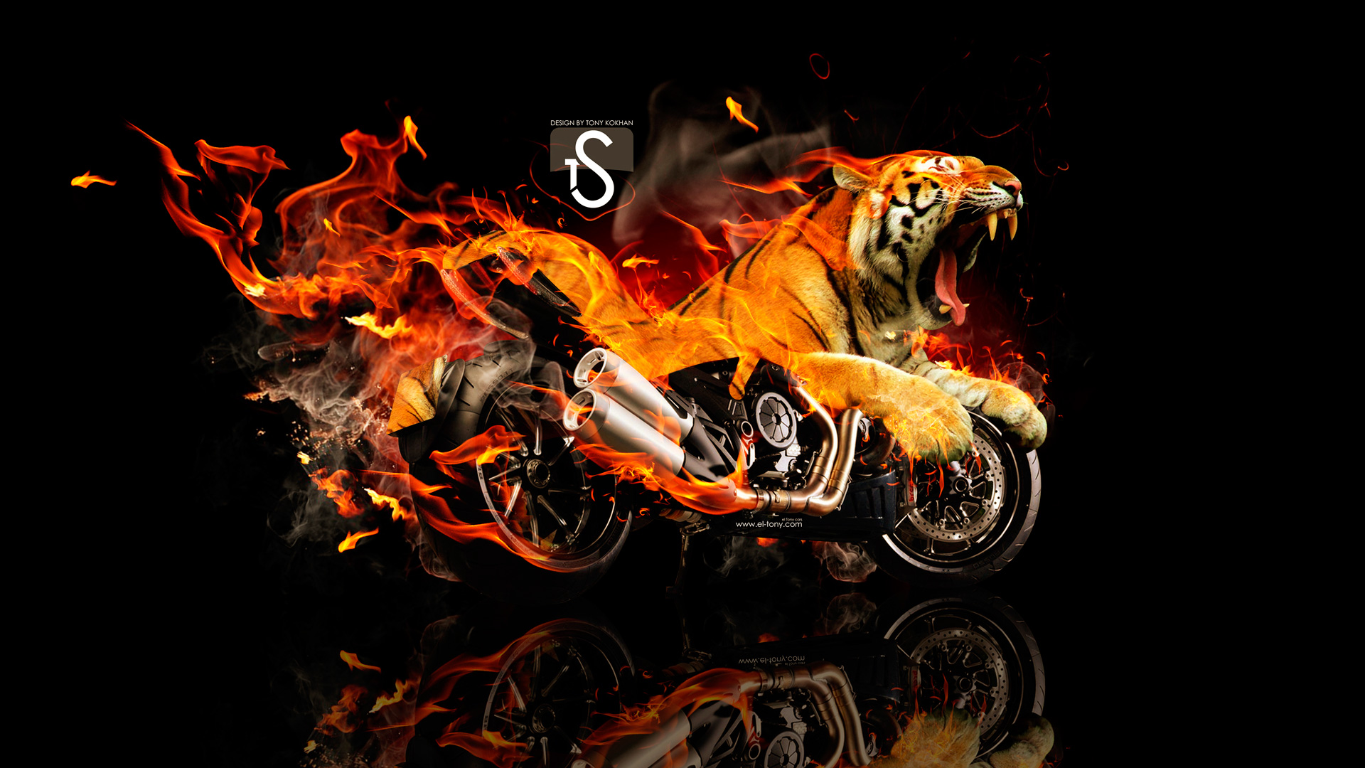 Fire Tiger Wallpaper Hd - HD Wallpaper 