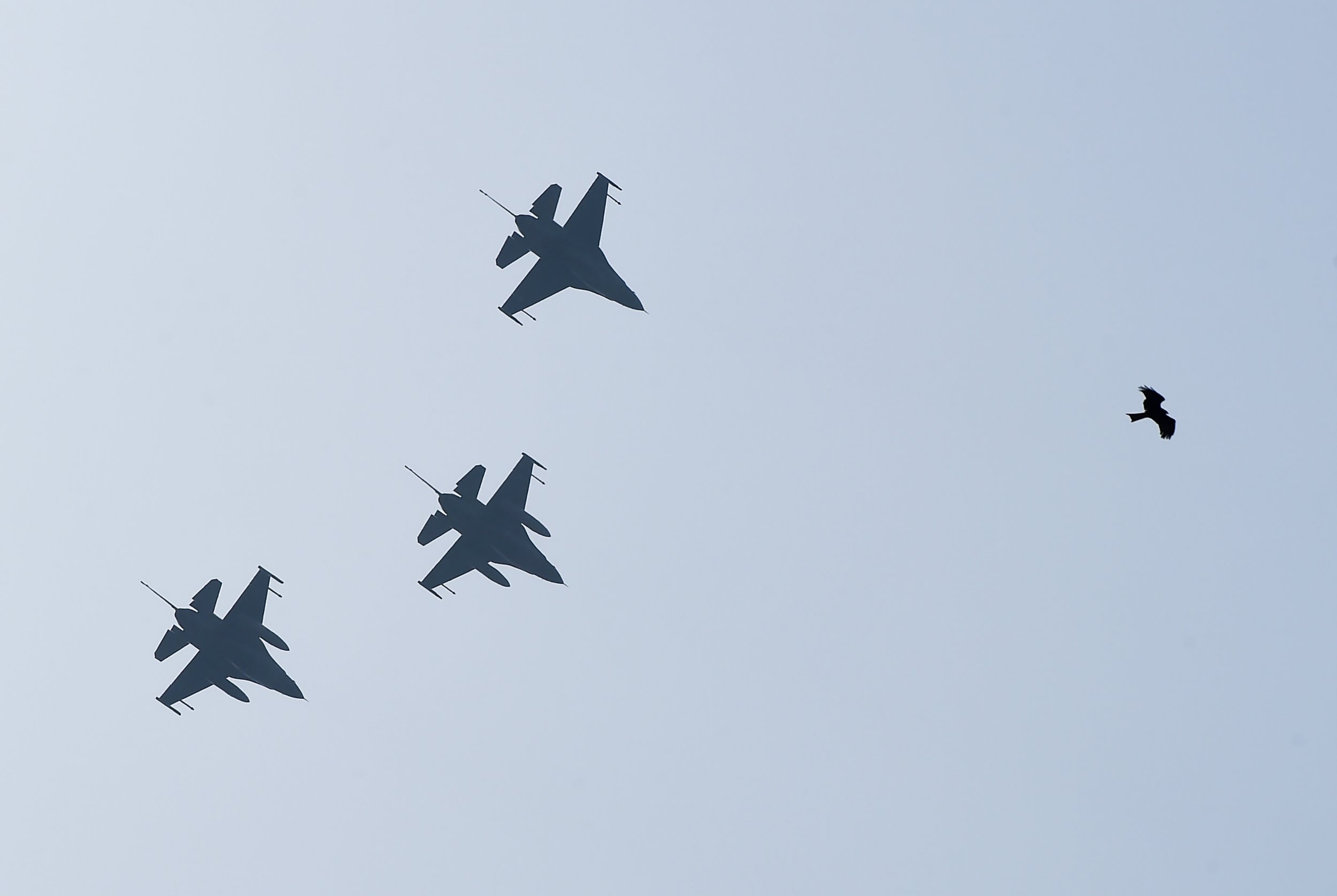 Gettyimages-1130720446 - Pakistan F 16 - HD Wallpaper 