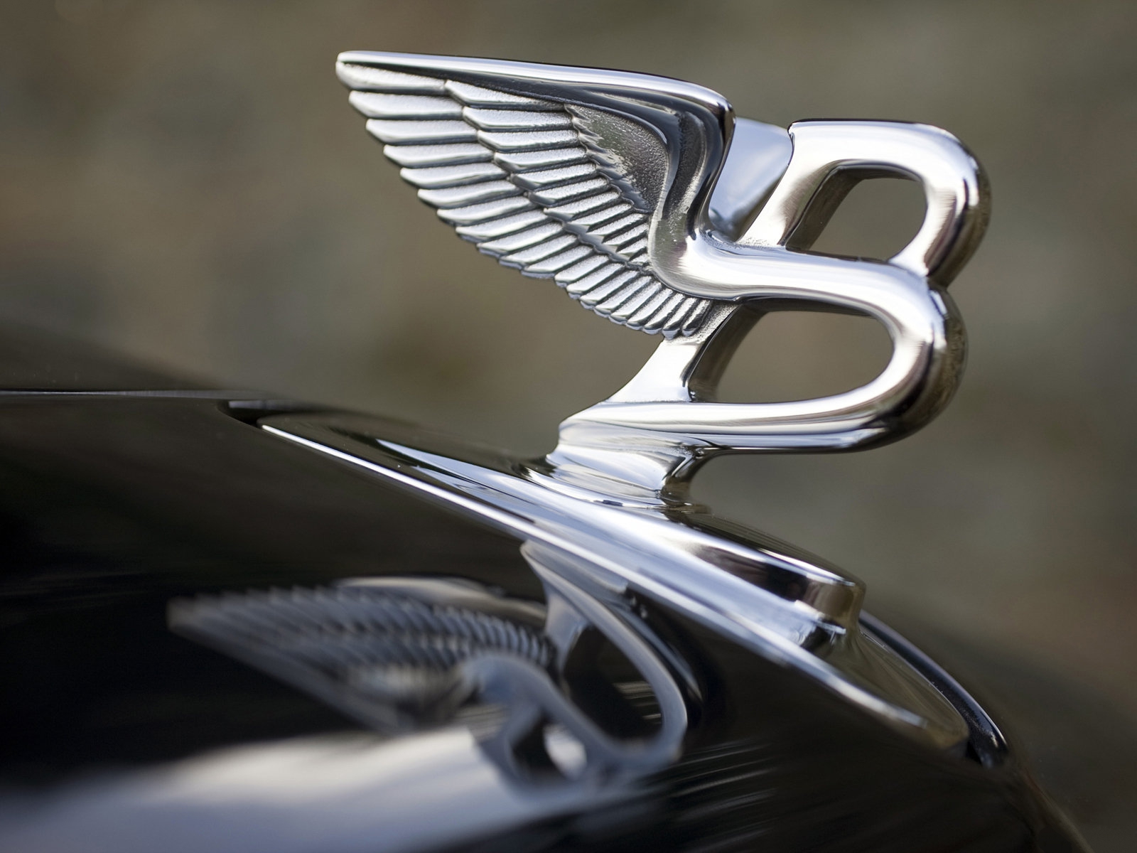 Bentley Logo Hd Wallpaper - Bentley Hood Ornament - 1600x1200 Wallpaper - Bentley Logo Hd Wallpaper - Bentley Hood Ornament - 1600x1200 Wallpaper -