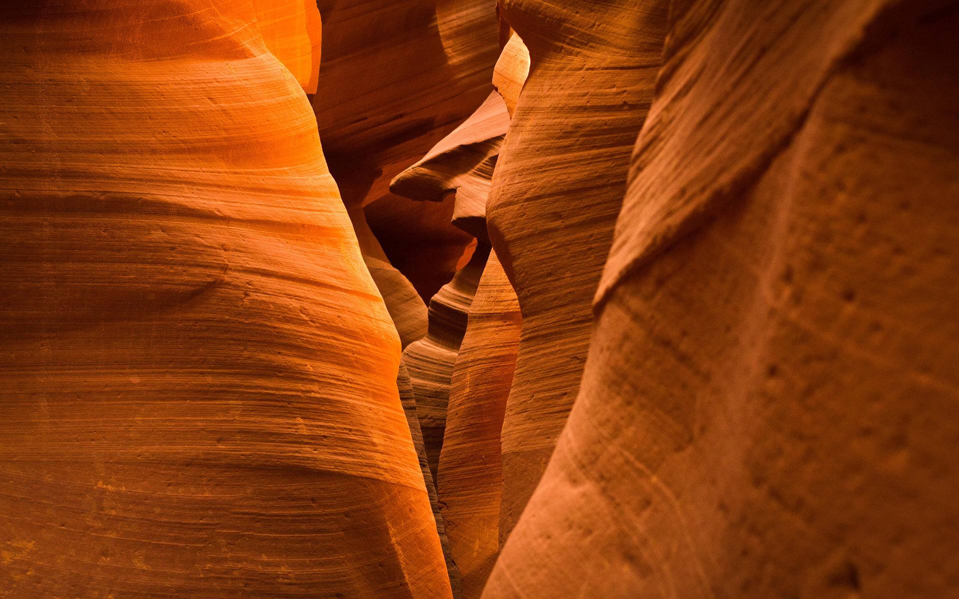 Wallpaper - HD Wallpaper 