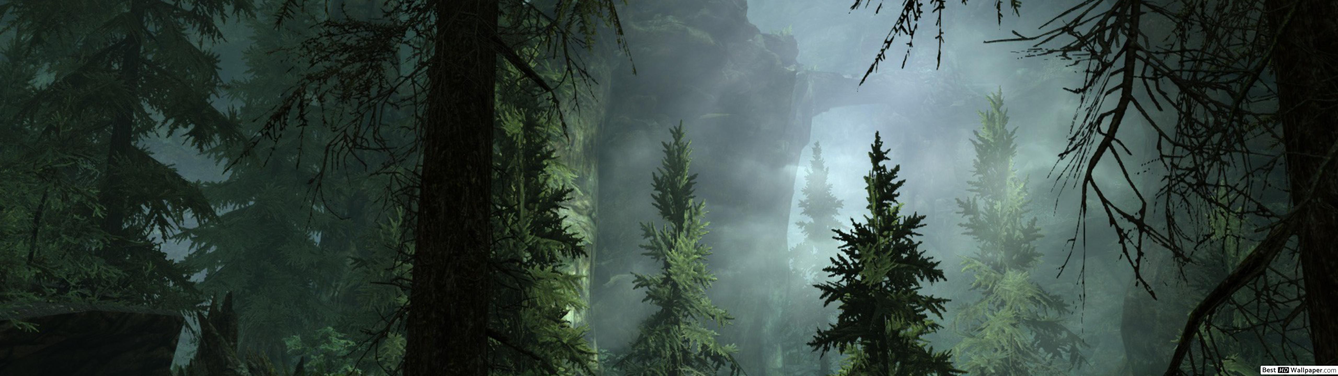 Forest Fog - HD Wallpaper 
