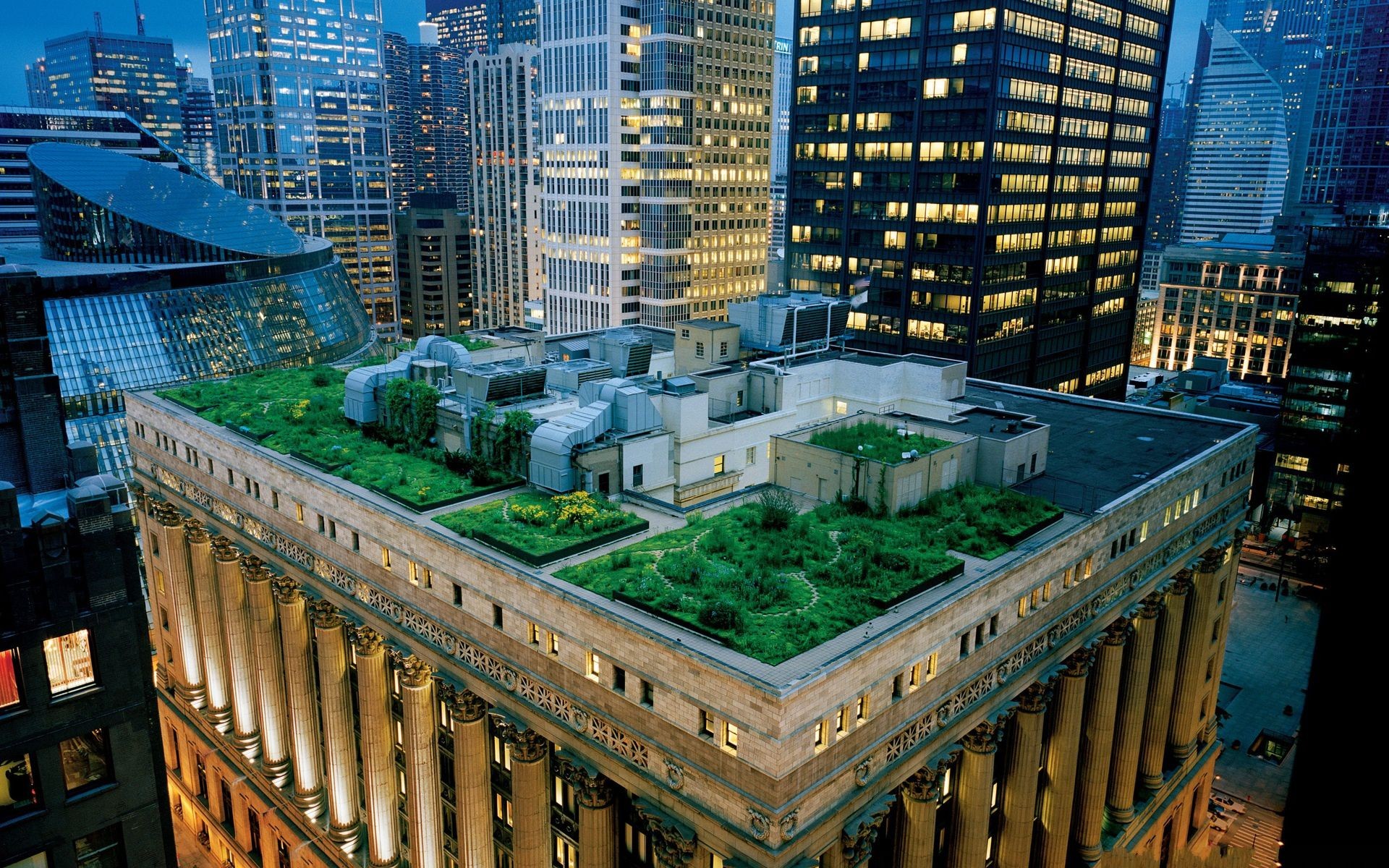 Building Green Roofs - HD Wallpaper 
