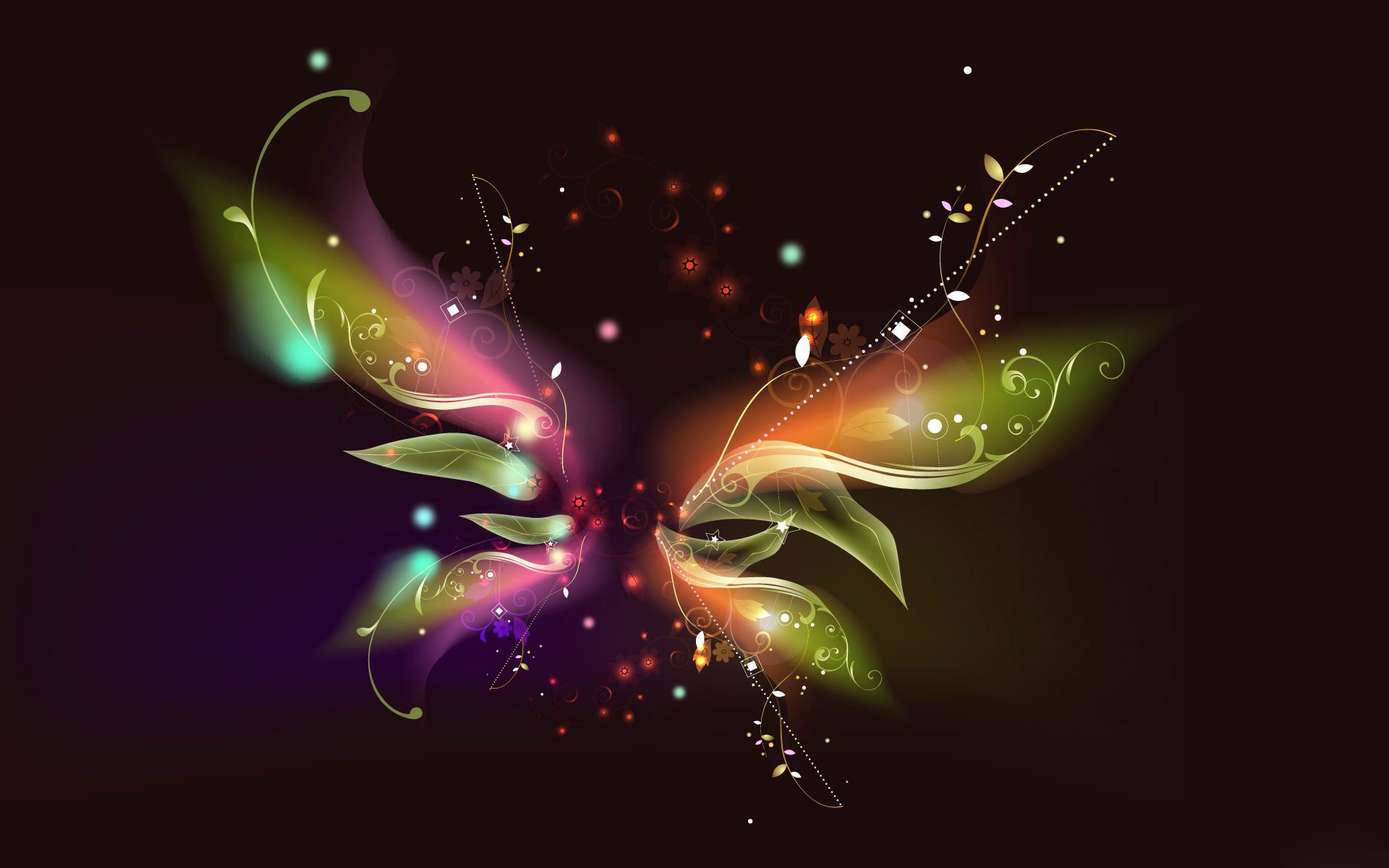 Beautiful Butterfly - HD Wallpaper 