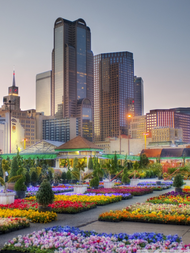 Downtown Dallas - HD Wallpaper 