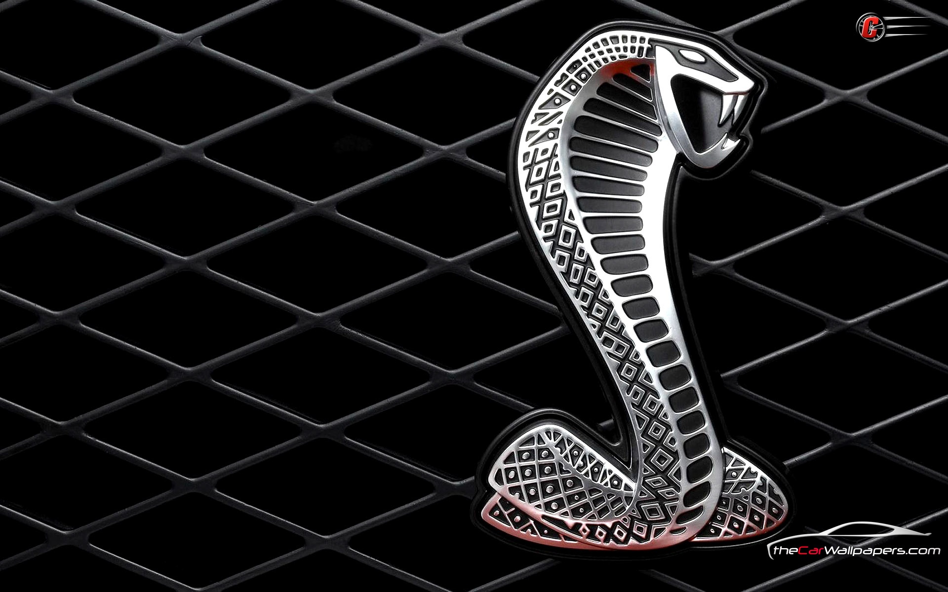 Shelby Cobra - HD Wallpaper 