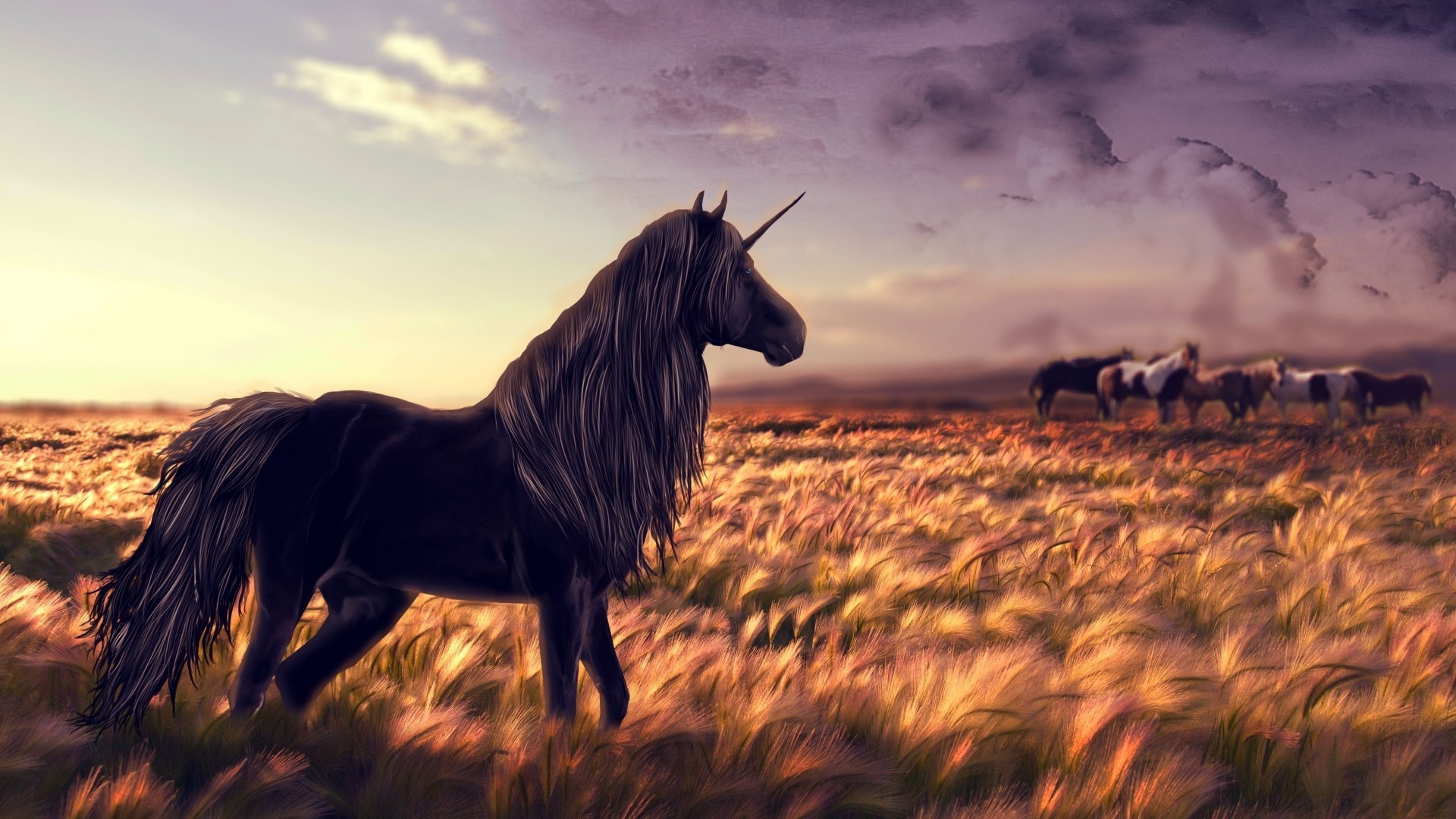 Unicorn Black Horse - HD Wallpaper 