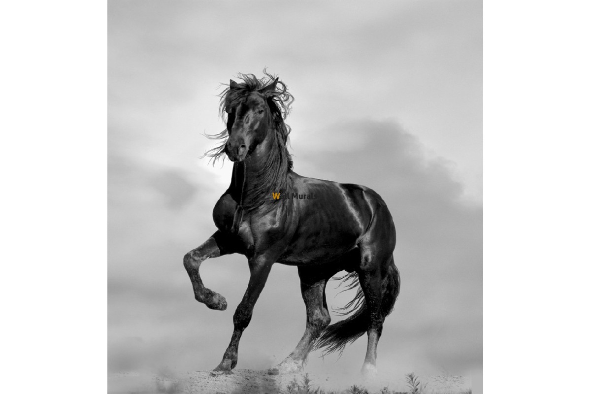 Black Horse Grey Background - HD Wallpaper 