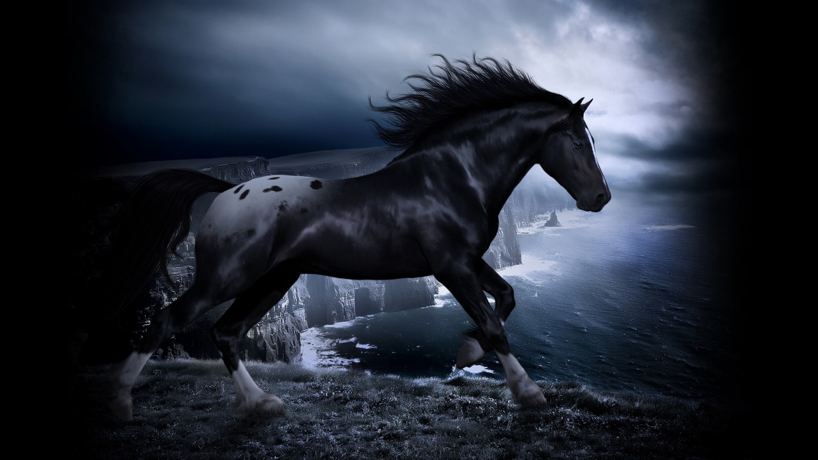 Horse Wallpaper Desktop - Black Horses Wallpaper Hd - 1600x900 Wallpaper -  