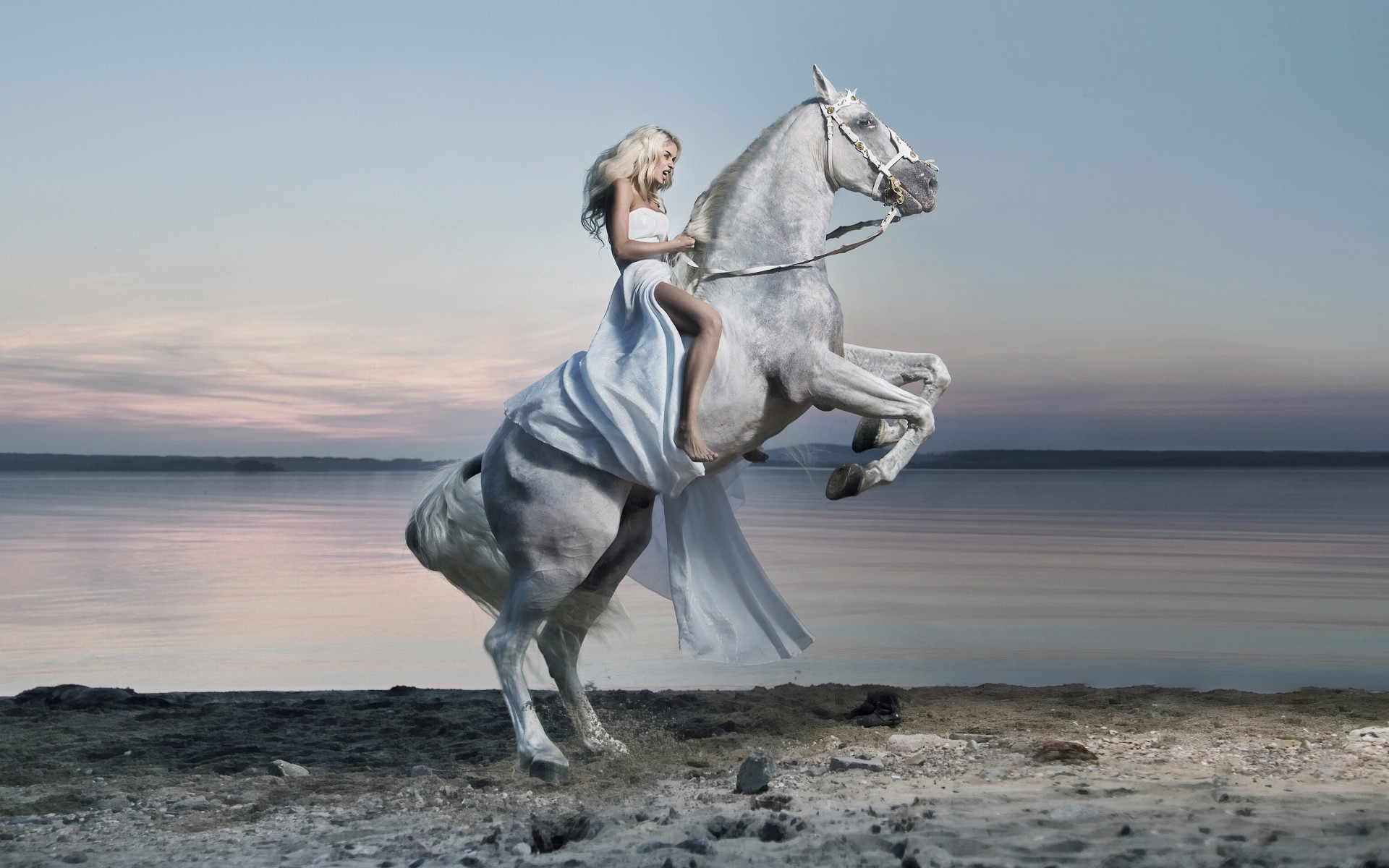 White Horse With Rider - HD Wallpaper 