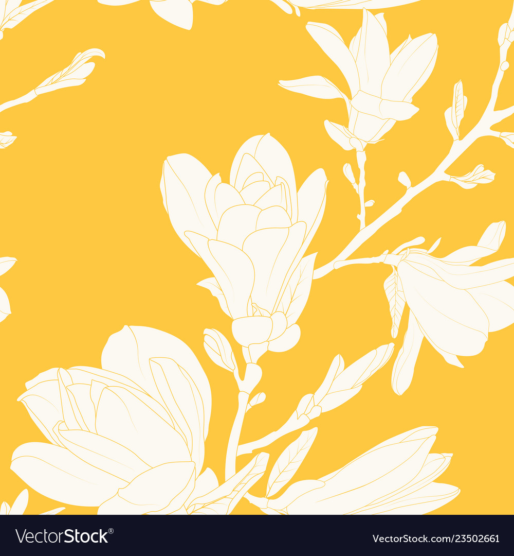 Magnolia - HD Wallpaper 