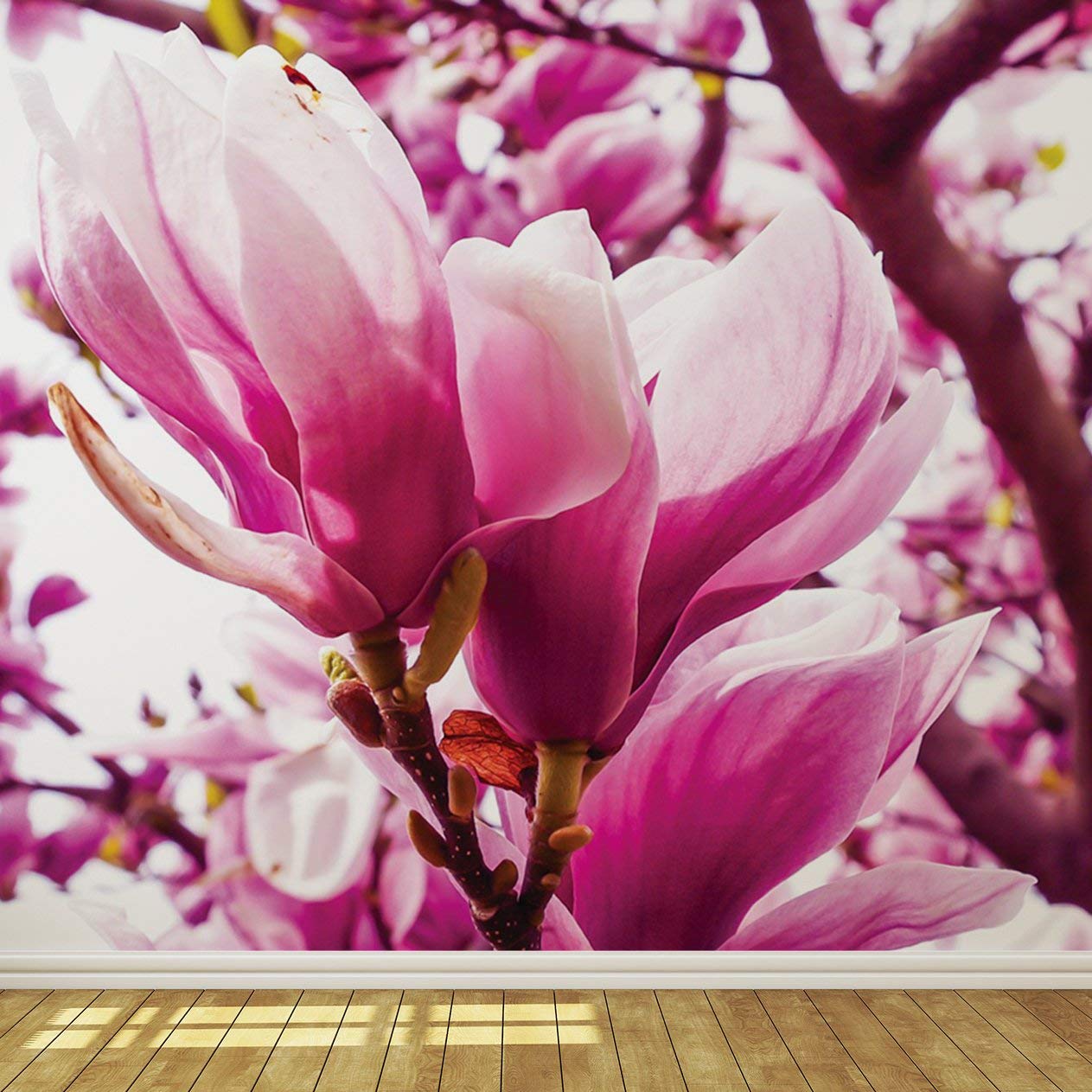 Magnolia Tree - HD Wallpaper 
