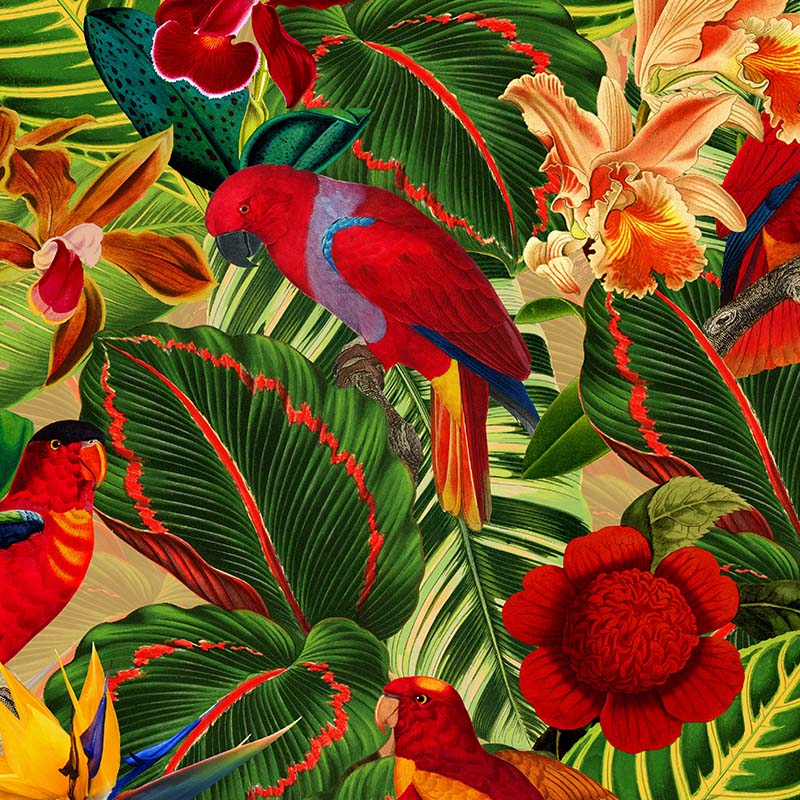 Tropical Leaves Clip Art - HD Wallpaper 