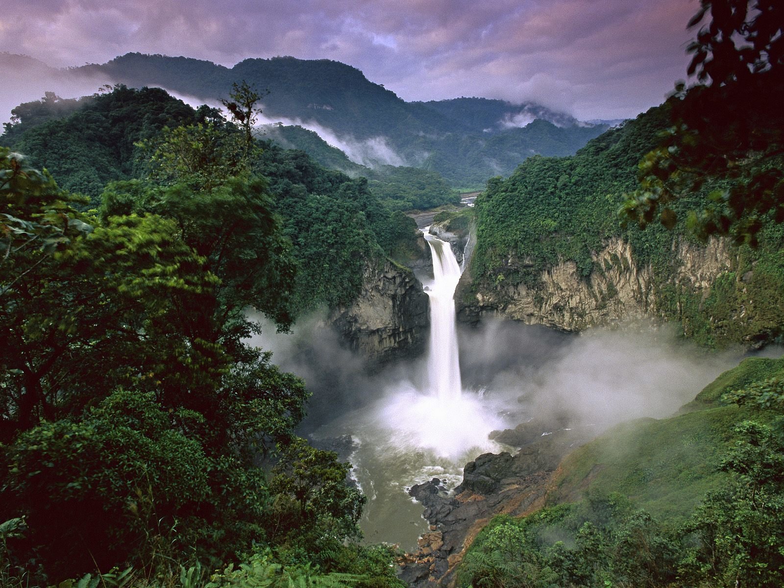 Tropical Rainforest Wallpaper - Amazon Rainforest In Colombia - HD Wallpaper 