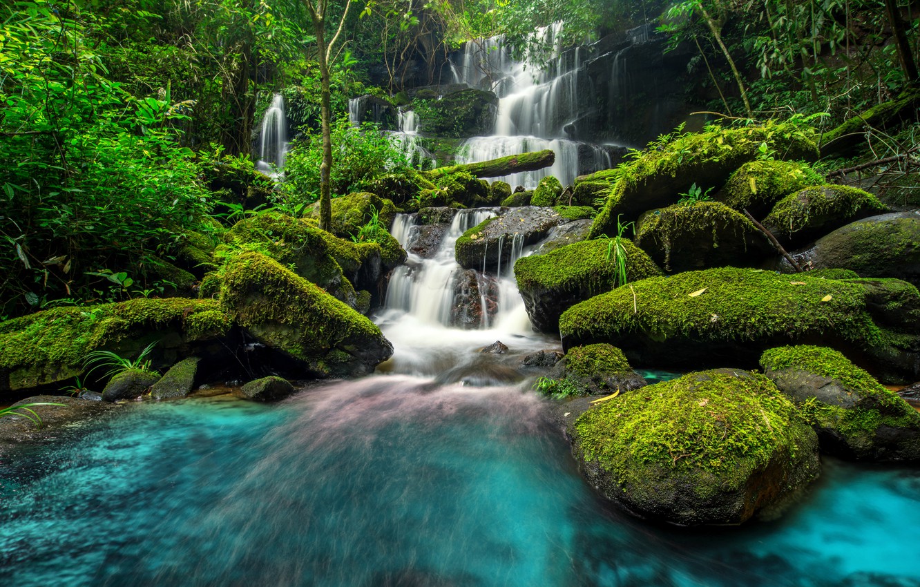Photo Wallpaper Forest, River, Waterfall, Forest, River, - Jungle Waterfall  Background - 1332x850 Wallpaper 