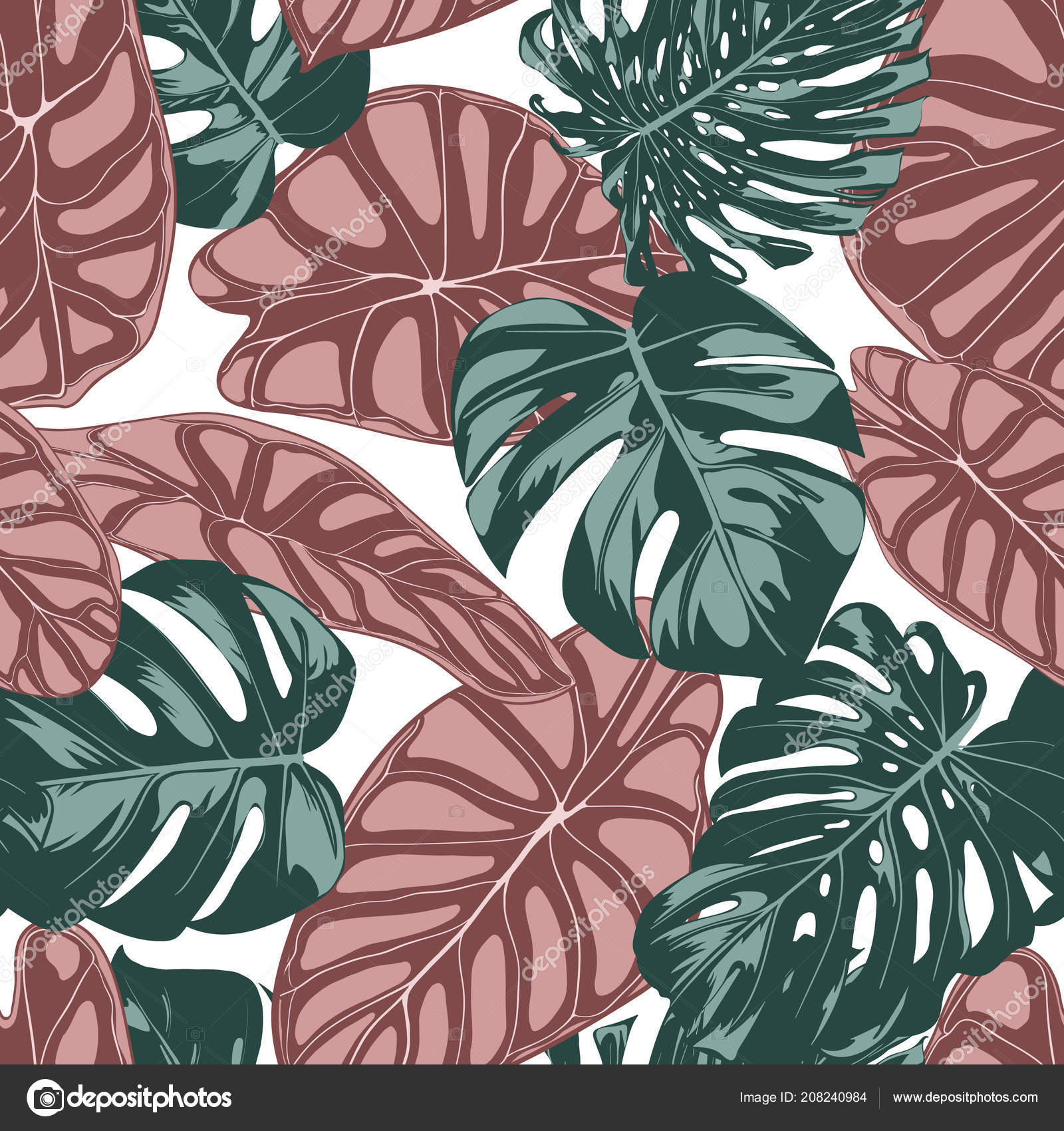 Swiss Cheese Plant - HD Wallpaper 