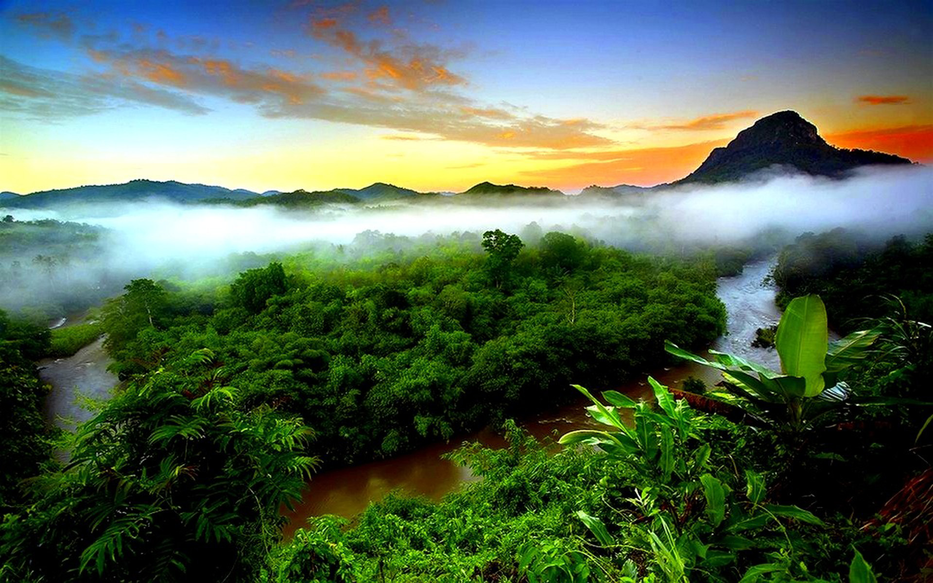 Tropical Rainforest Of Indonesia - HD Wallpaper 