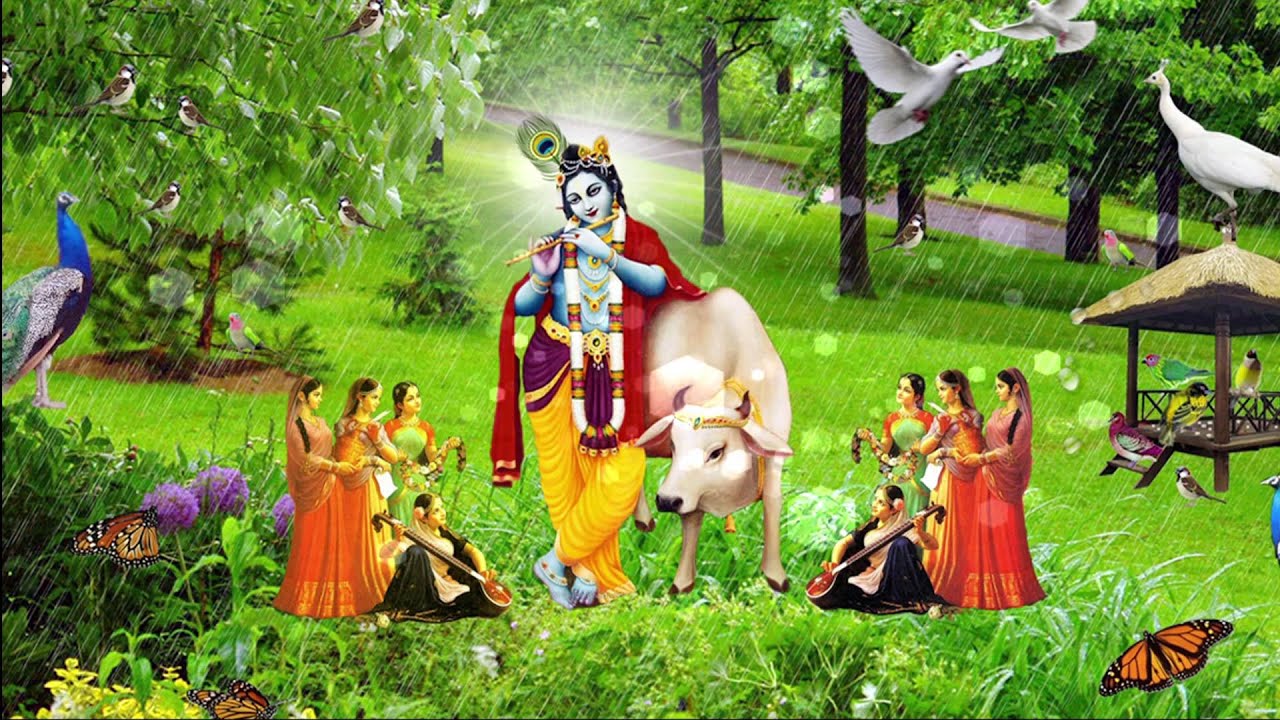 तुम कब आओगे - HD Wallpaper 