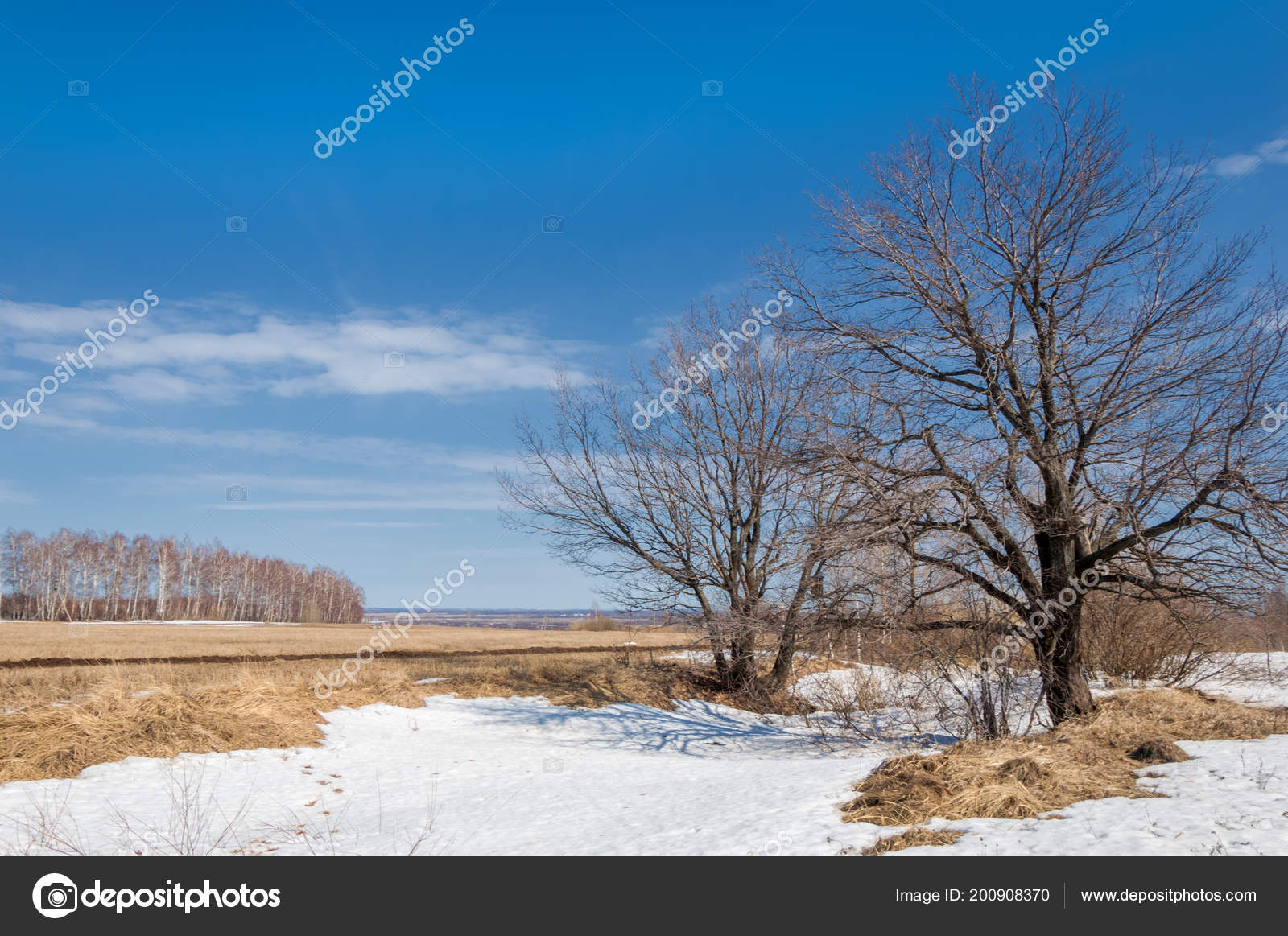 Wallpaper - HD Wallpaper 