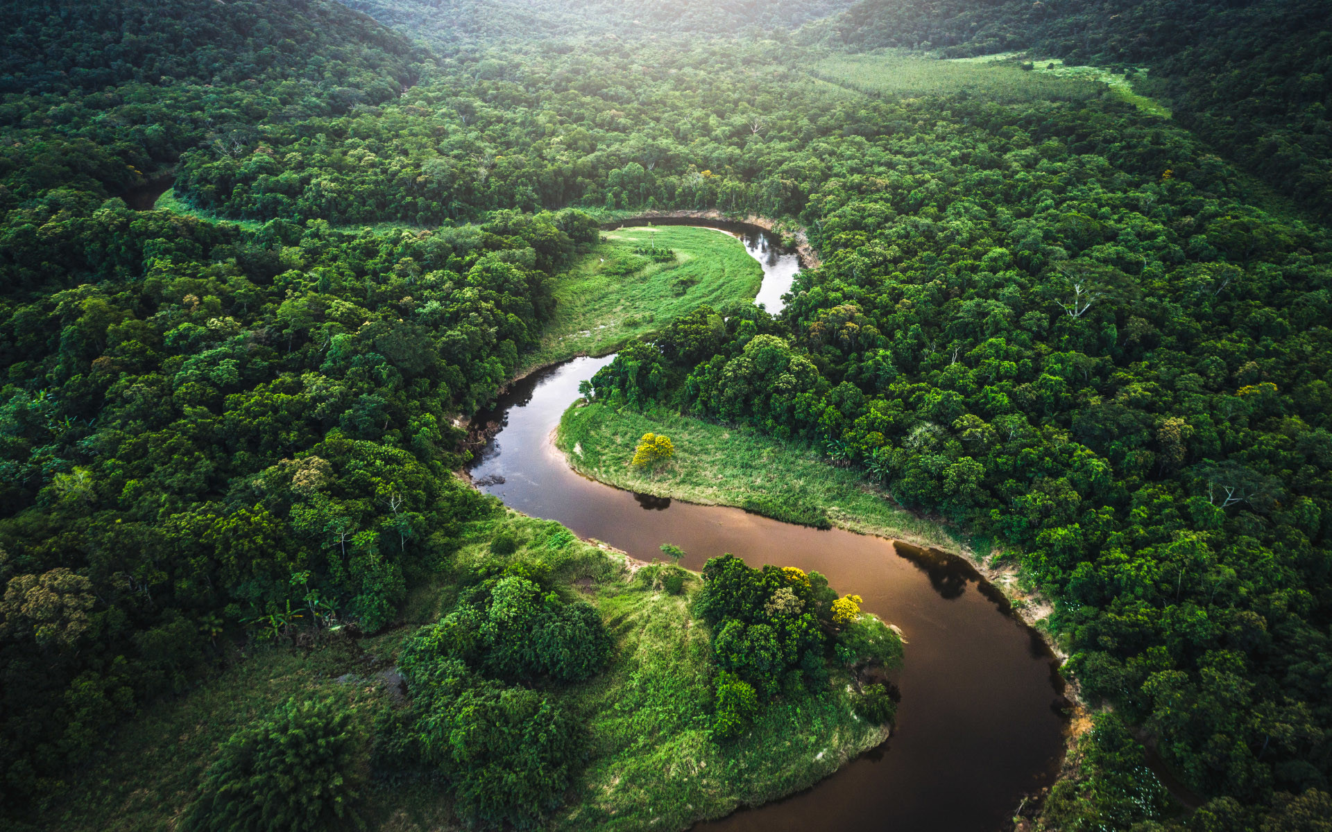 Amazon River Winding Through Atlantic Rainforest In - Amazon Rainforest - HD Wallpaper 