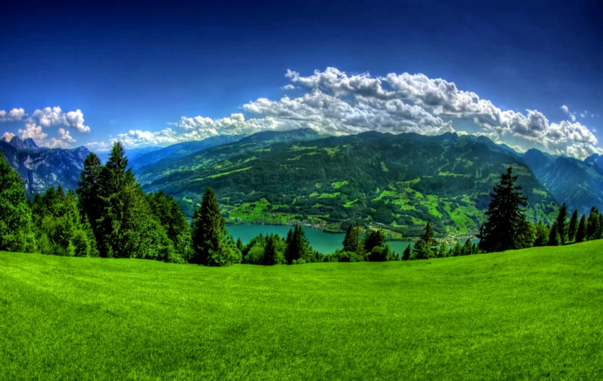 Desktop Wallpaper Spring Desktop Wallpaper - Hd Wallpapers 1080p - HD Wallpaper 