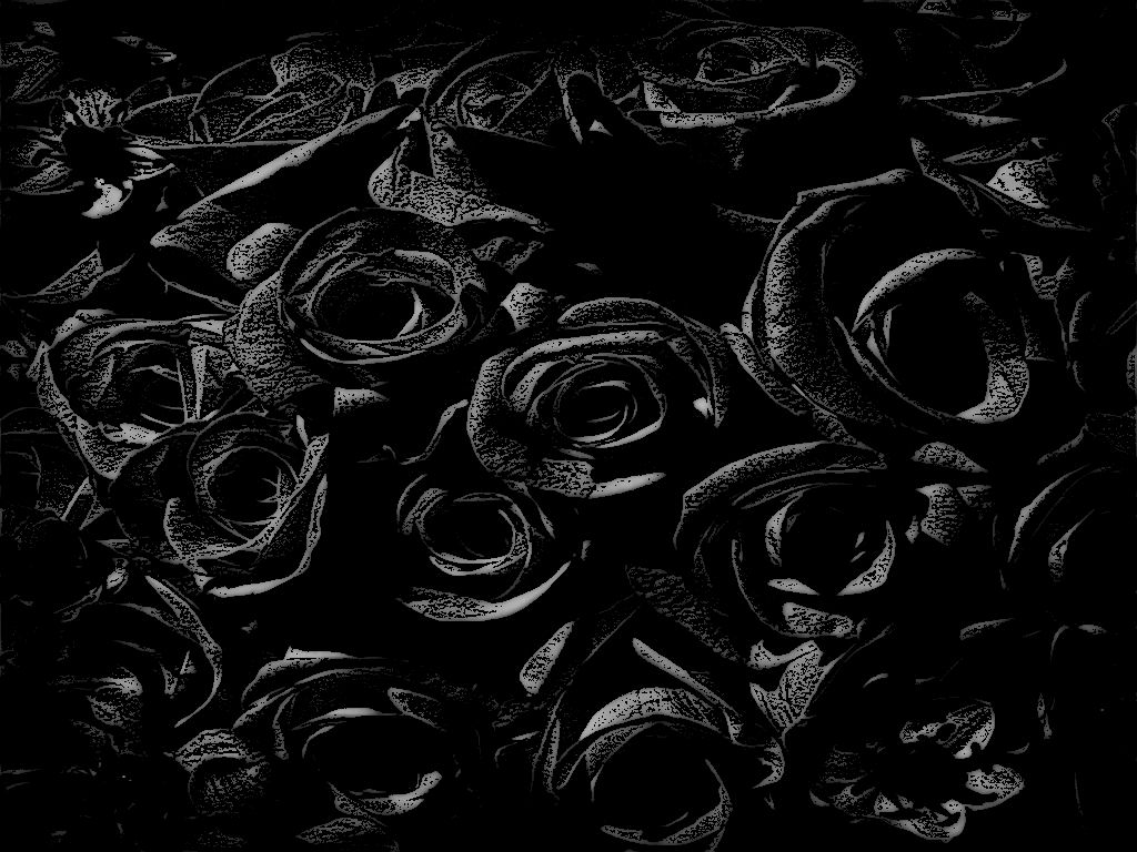 High Definition Creative Black Rose Pictures - Cover Photos Black Roses - HD Wallpaper 