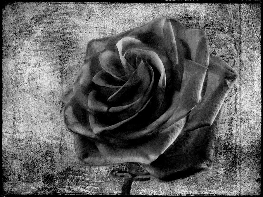 Black Rose Wallpapers Hd Android Apps On Google Play - Black Rose Artwork - HD Wallpaper 