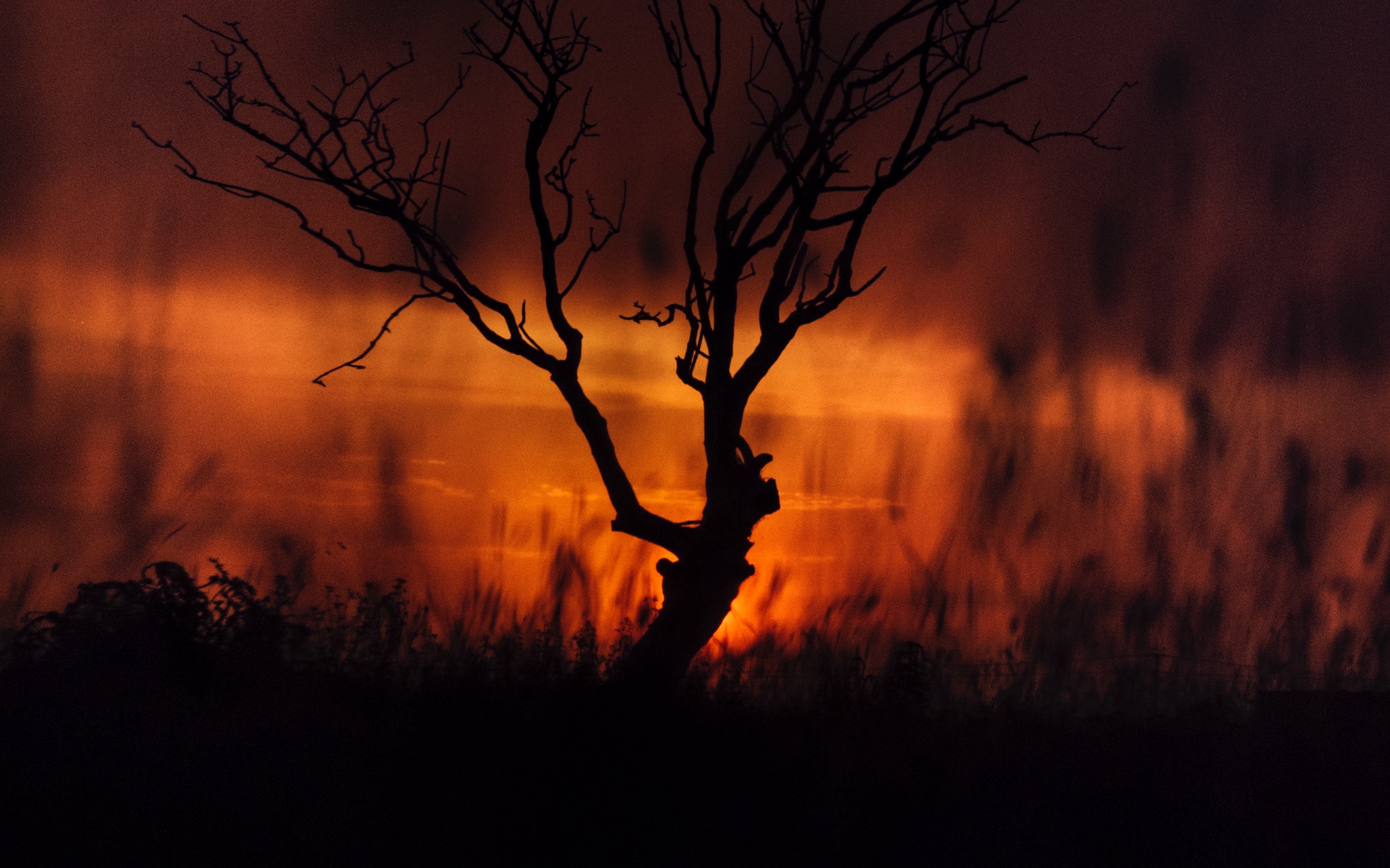 Wallpaper Tree, Sunset, Twilight, Dark, Landscape - Allah Aap Ko Sabar Day - HD Wallpaper 