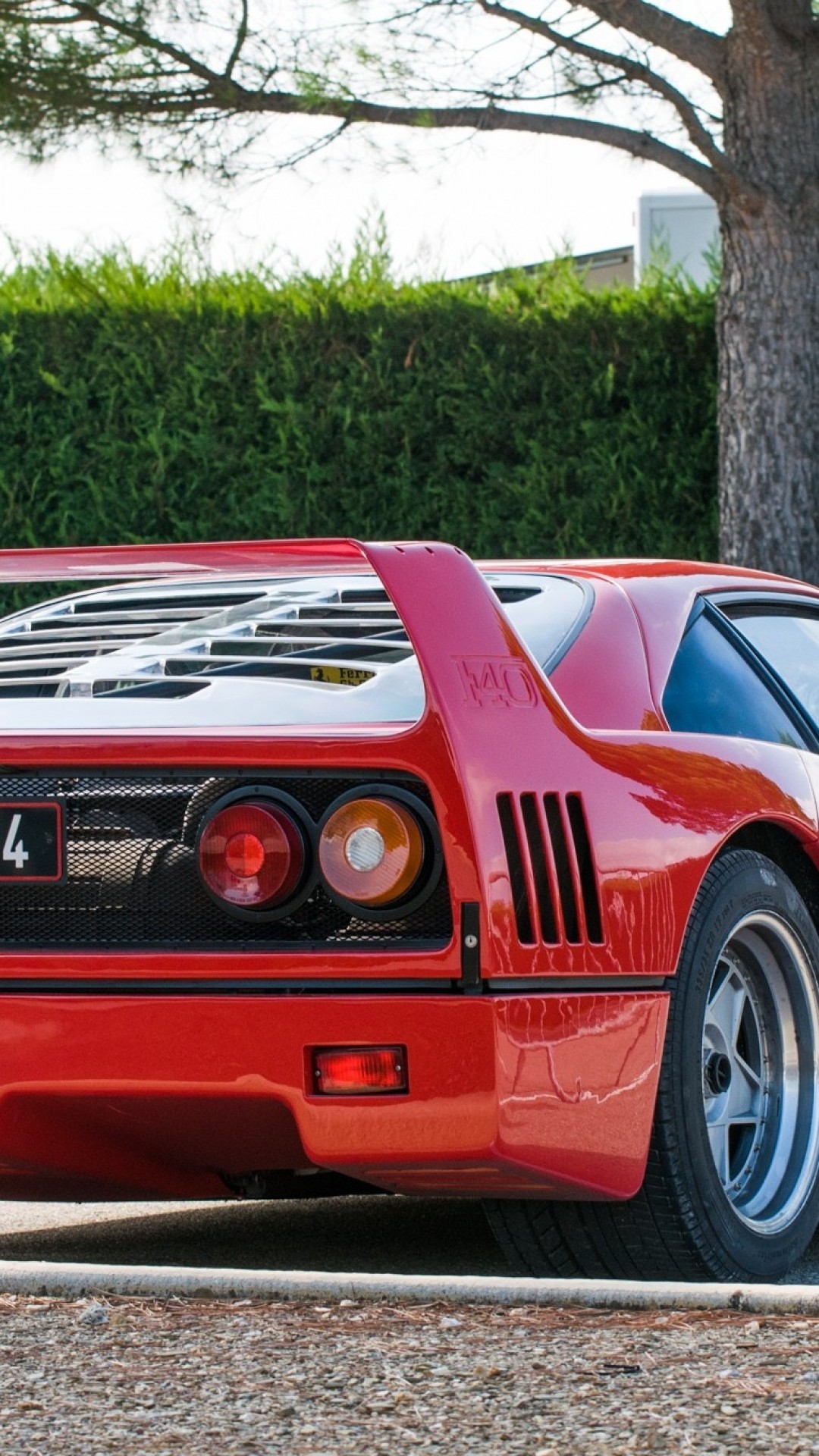 Ferrari F40, Back View, Red, Sport, Cars - Ferrari F40 Wallpaper Iphone - HD Wallpaper 