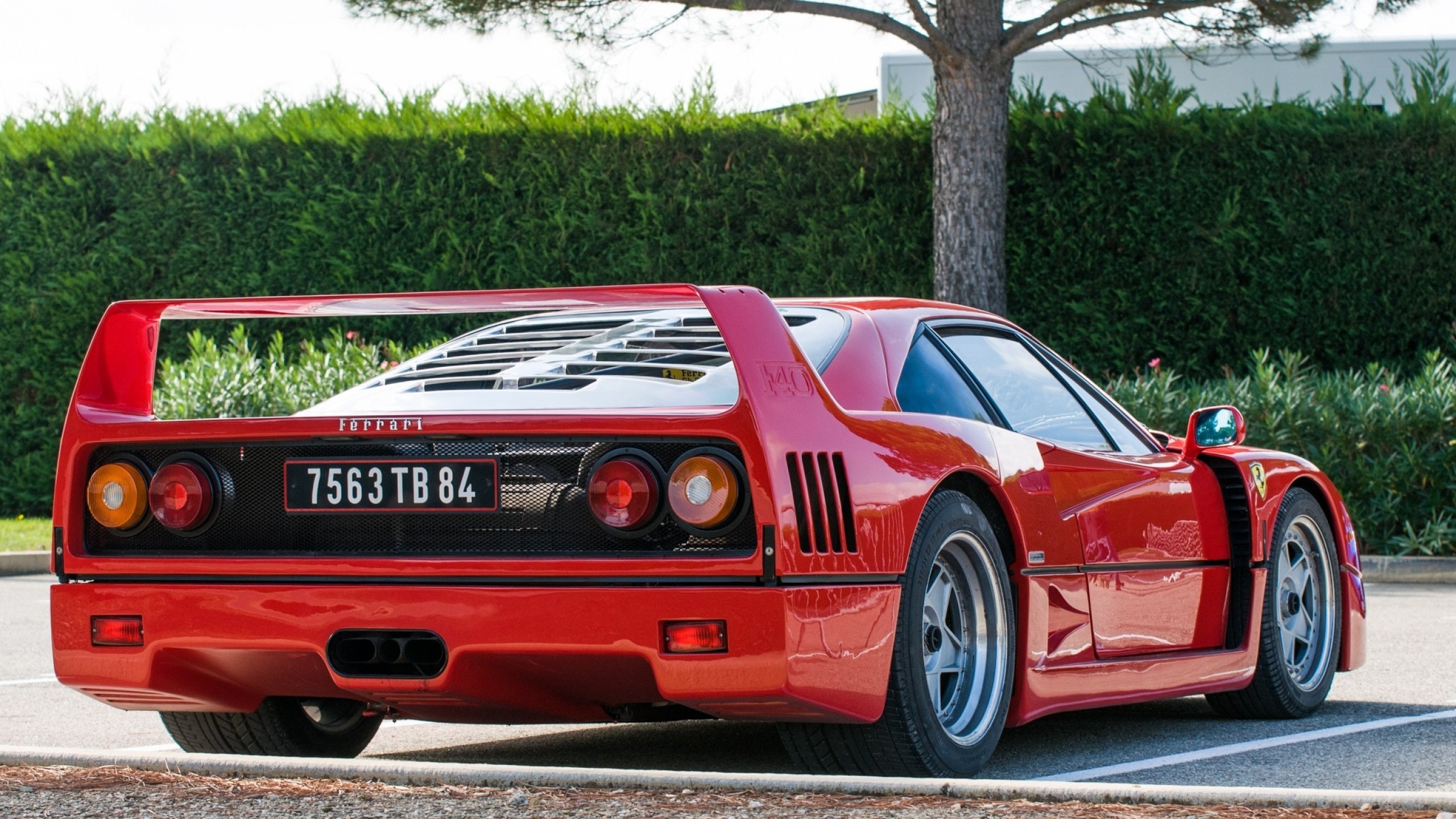 Ferrari F40, Back View, Red, Sport, Cars - Ferrari F40 - HD Wallpaper 