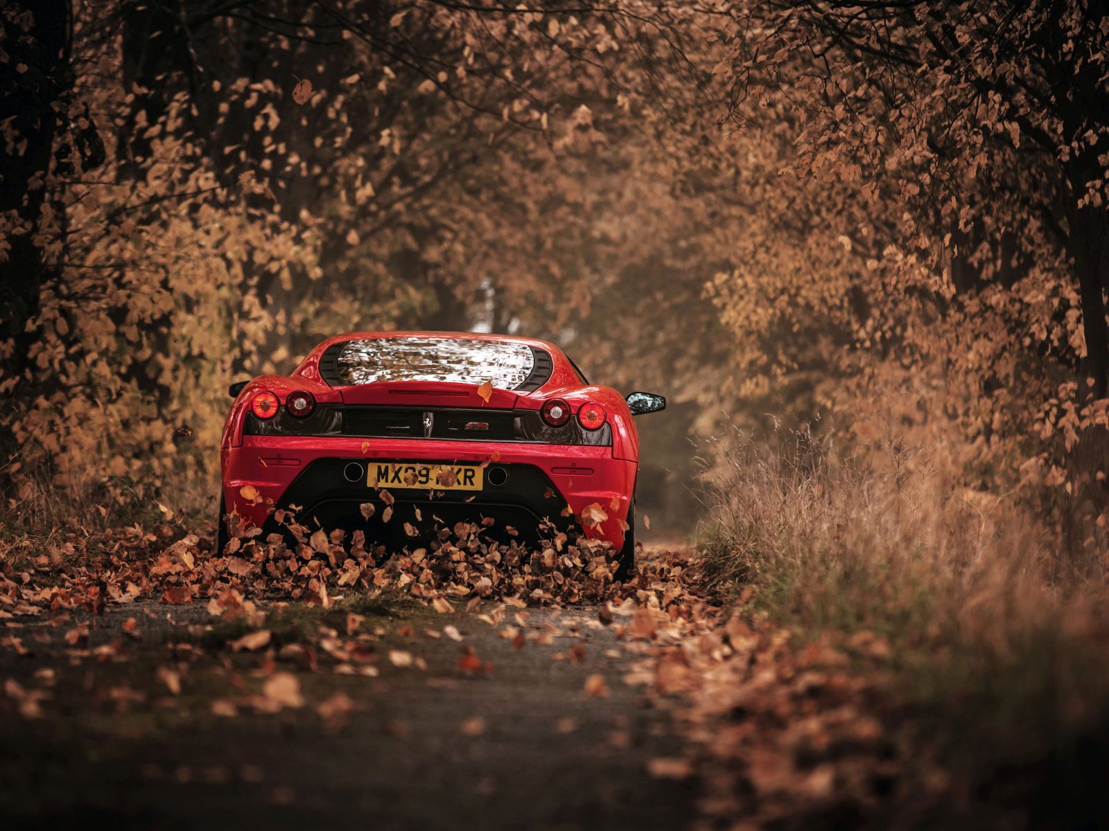 Ferrari F430 Wallpaper Hd - HD Wallpaper 