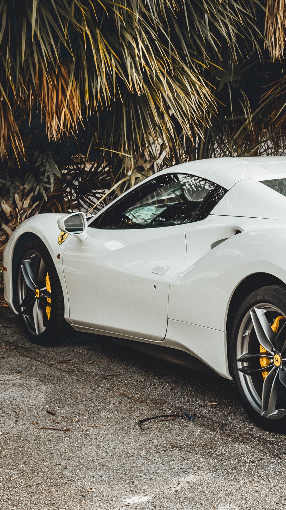 Wallpaper Ferrari 488 Gtb, Sports Car, Luxury - Ferrari Car - HD Wallpaper 