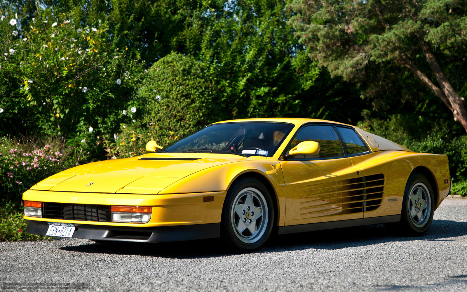 Download Wallpaper Ferrari, Testarossa, Yellow, Ferrari - Miles Davis Cars - HD Wallpaper 