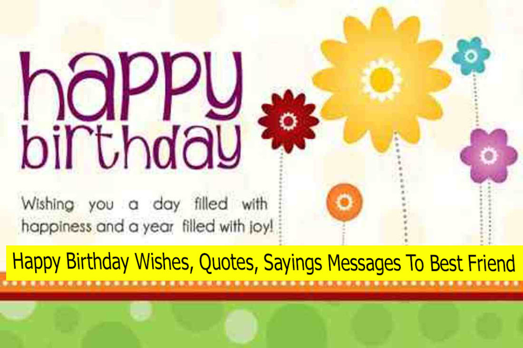Letest Hd Happy Birthday Wallpaper - African Daisy - HD Wallpaper 